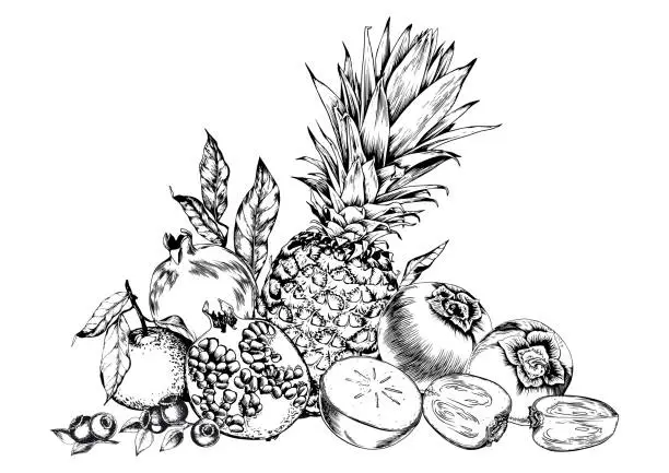 Vector illustration of Pineapples, pomegranates and sweet fruits arrangement.