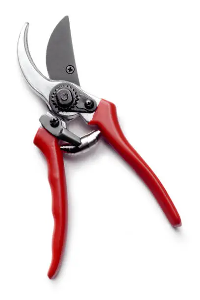 Photo of Gardening: Shears