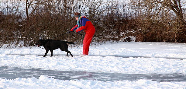 istock Woman ice skating being dragged by her dog 182440269