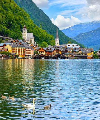 Hallstatt, Austria. View at Hallstattersee Lake and Alps mountains summits. White swan birds near the dock. Ancient houses lake banks with chapel. Summer day. Blue sky clouds.