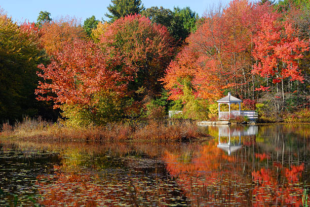 istock Gazebo on the Pond, Autumn Scene 182440655