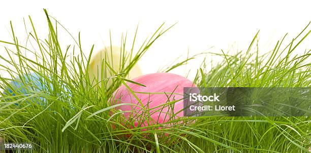 Photo libre de droit de Oeufs De Pâques En Herbe banque d'images et plus d'images libres de droit de Blanc - Blanc, Bleu, Cadeau