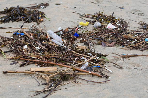 Ocean Trash stock photo