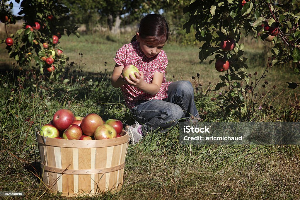 Ragazza in un frutteto - Foto stock royalty-free di 4-5 anni