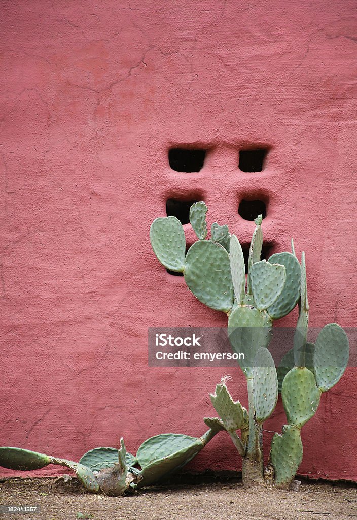 Красный Adobe стена - Стоковые фото Кактус роялти-фри