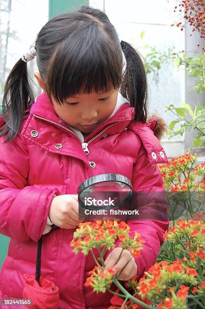 Exkursion Zum Greenhouse Stockfoto und mehr Bilder von 4-5 Jahre - 4-5 Jahre, Asiatischer und Indischer Abstammung, Ausbildungsschritt