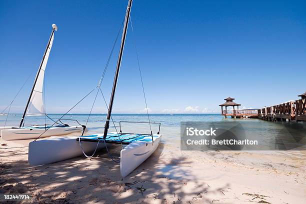 Foto de Gato No Caribe e mais fotos de stock de Montego Bay - Montego Bay, Praia, Amarelo