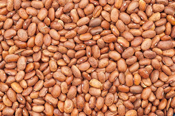 dry pinto beans background