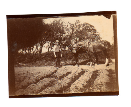 Vintage photograph of a Victorian ploughman in the field he has just ploughed with his team of horses. England circa 1890