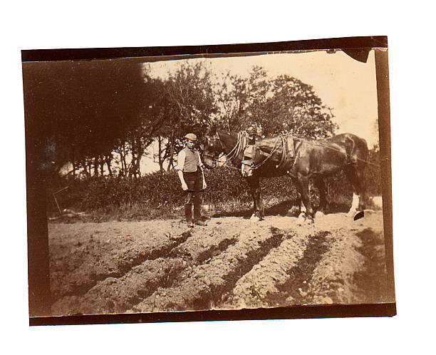 Victorian Ploughman - Old Photograph Vintage photograph of a Victorian ploughman in the field he has just ploughed with his team of horses. England circa 1890 19th century photos stock pictures, royalty-free photos & images