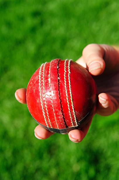 istock Cricket ball red hand held grass 182443026