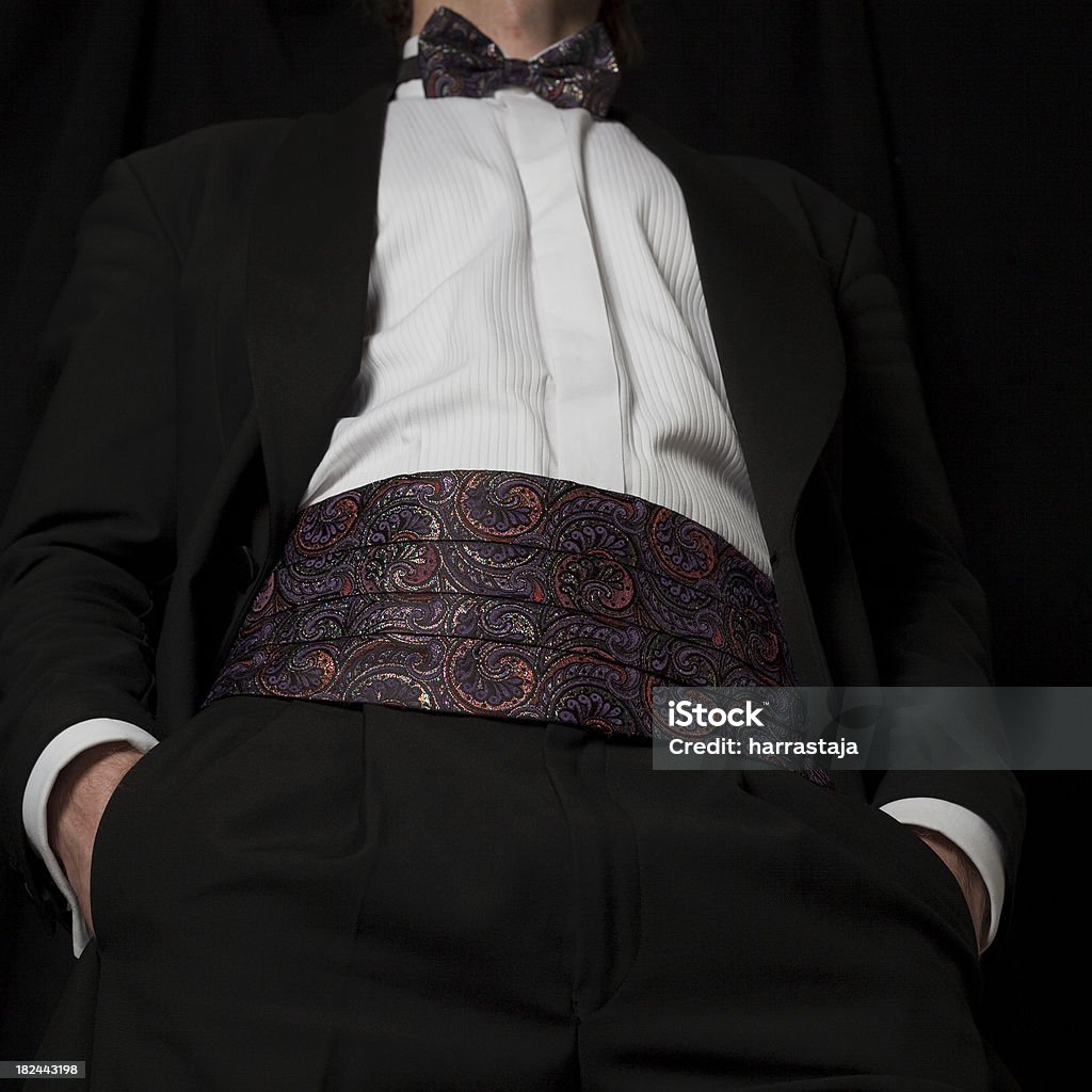 man in tuxedo /Close-up/ Adult Stock Photo