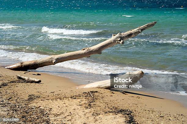 Driftwood Am Strand Stockfoto und mehr Bilder von Abgestorbene Pflanze - Abgestorbene Pflanze, Baum, Côte d'Azur