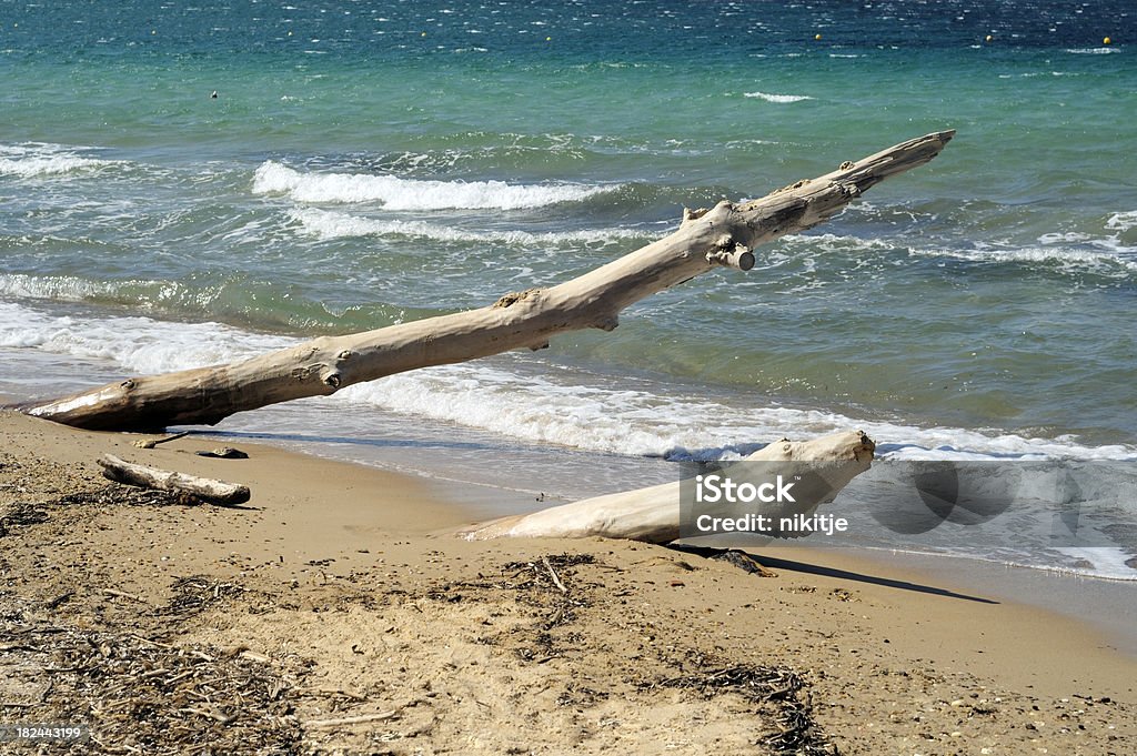 Driftwood na praia - Royalty-free Areia Foto de stock