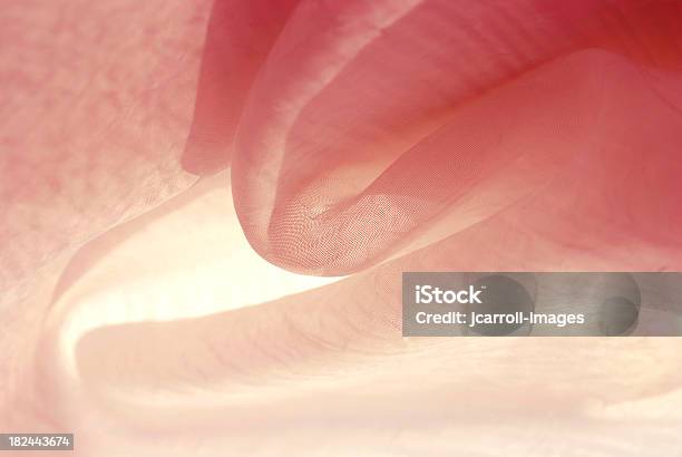 Волны Пастельный Розовый Абстрактный Фон — стоковые фотографии и другие картинки Лёгкий - Лёгкий, Розовый, Свет - природное явление