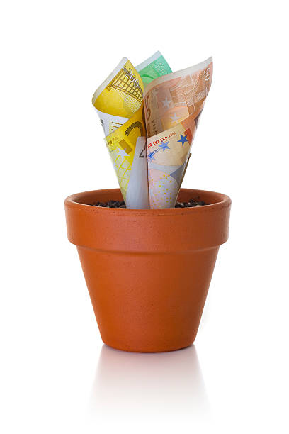 istock Euro currency sprouting in flower pot 182443825