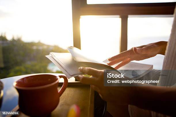 Foto de Livro De Leitura e mais fotos de stock de Virar - Virar, Página, Macrofotografia