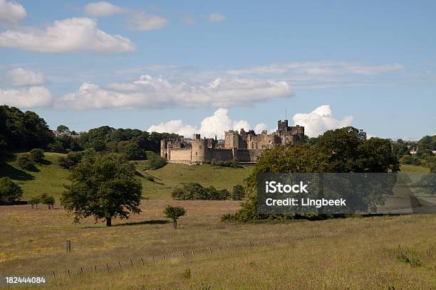 Castello Di Alnwick - Fotografie stock e altre immagini di Castello di Alnwick - Castello di Alnwick, Albero, Alnwick