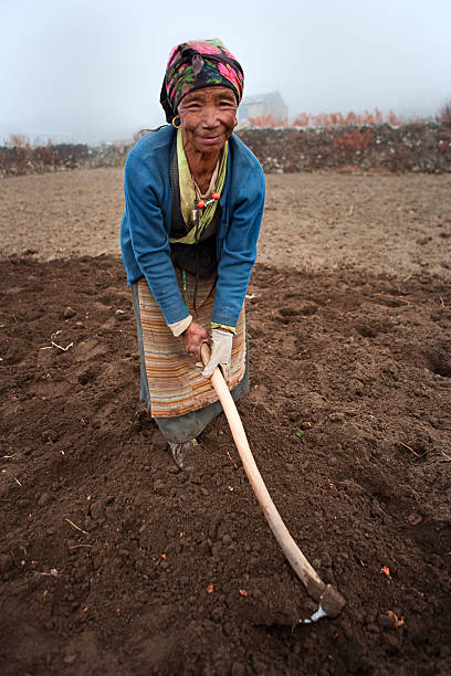istock Nepali woman working in the field 182446094