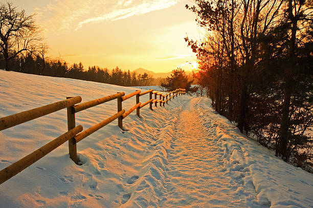 atardecer de invierno - winter nobody forest sunlight fotografías e imágenes de stock