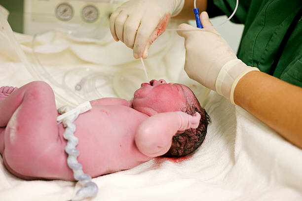 istock Newborn baby check-up 182446826