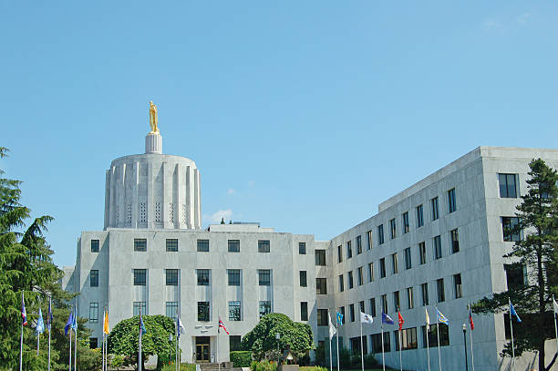 istock State Capitol with Circle of Flags 182446879