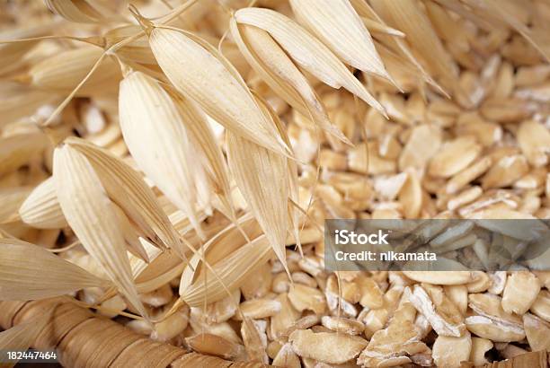 Healthy Food Whole Grain Oats And Cereal Spikelets Stock Photo - Download Image Now