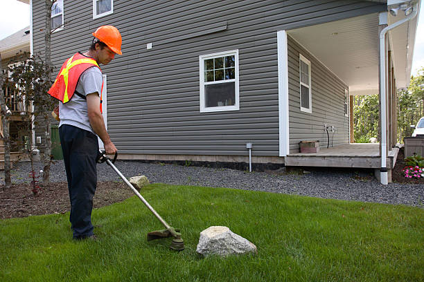 istock Landscaper Mows Trims Grass Wearing Safety Equipment 182447503