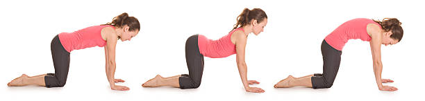 Step by step instructions to Cat pose. Pretty brunette woman doing yoga. Isolated. Panoramic image. 