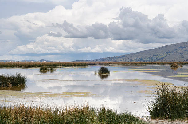 istock Lake Titicaca in Peru 182447605