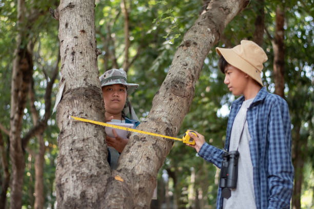 istock School Botanical Garden 1824523216