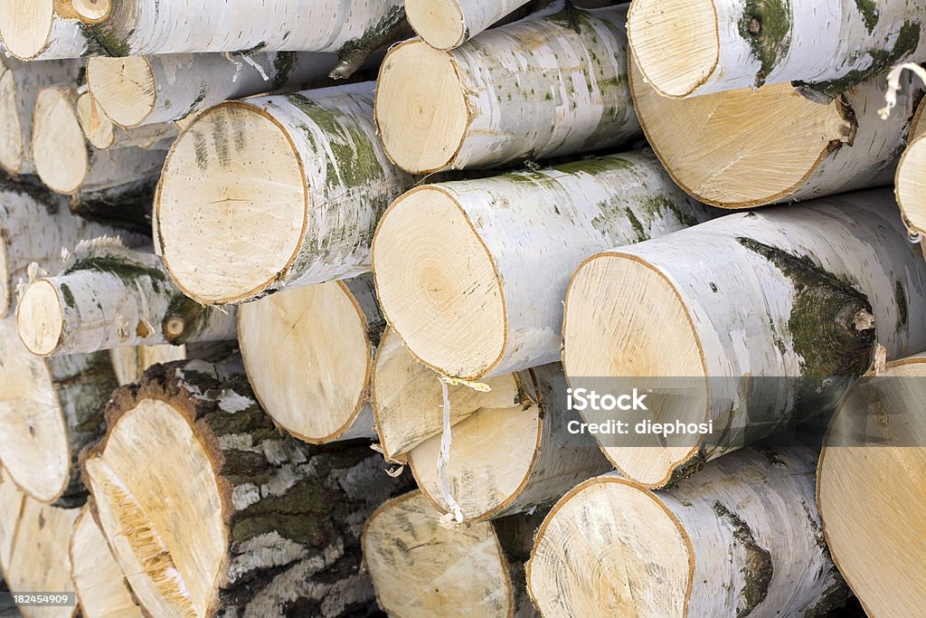 Birch de madera - Foto de stock de Abedul libre de derechos