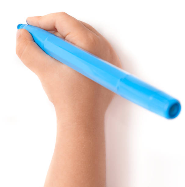 Close up of a child hand ready to draw or write in white paper with a blue felt tip pen. Isolated on white.