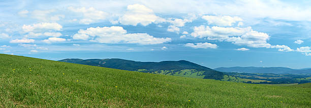 istock Panoramic highlands scenery XXXXL meadow, blue sky, forest 182455215