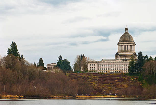 istock Looking across water at the Washington state capitol building 182455483