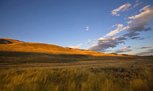 обширные и пустой пейзаж на закате - prairie wide landscape sky стоковые фото и изображения