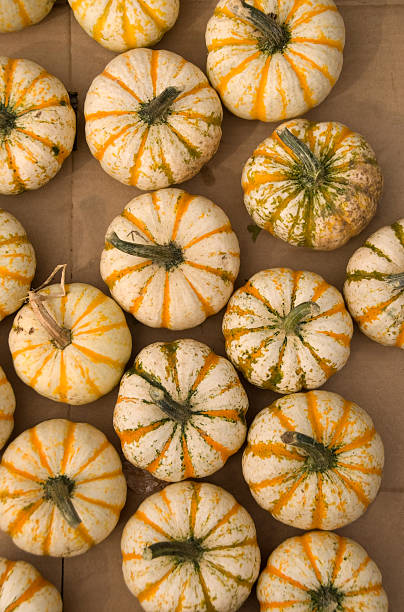 Miniature Pumkins for Sale at Outdoor Market Display