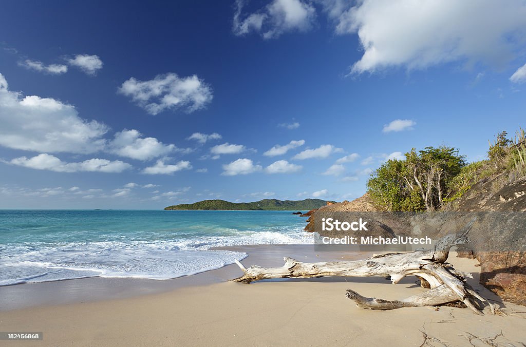 Сплавной лесоматериал на девственном пляже Карибского бассейна - Стоковые фото Антигуа - Подветренные острова роялти-фри