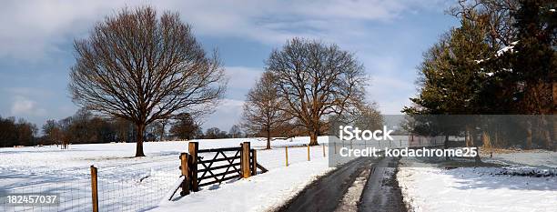 Zima - zdjęcia stockowe i więcej obrazów Anglia - Anglia, Bez ludzi, Brama