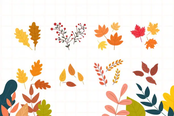 Vector illustration of Autumn season leaves and plants illustrations