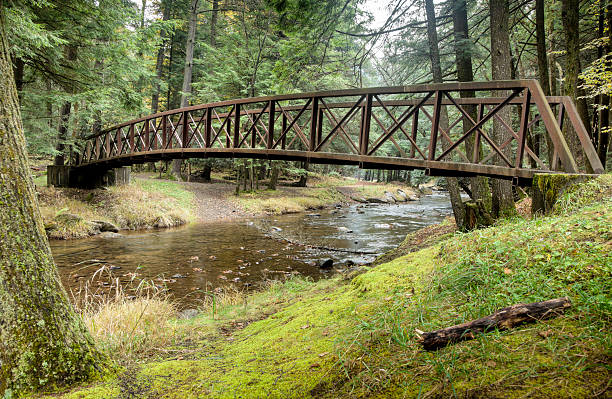 o aço ponte em arco em um caminho de floresta - ancient forest arch architecture imagens e fotografias de stock