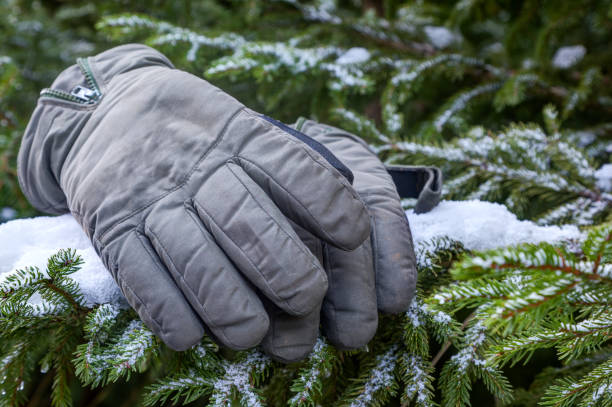 istock Winter comfort, warm gloves for the cold. 1824575112