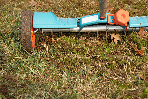 Lawn hand aerator stock photo