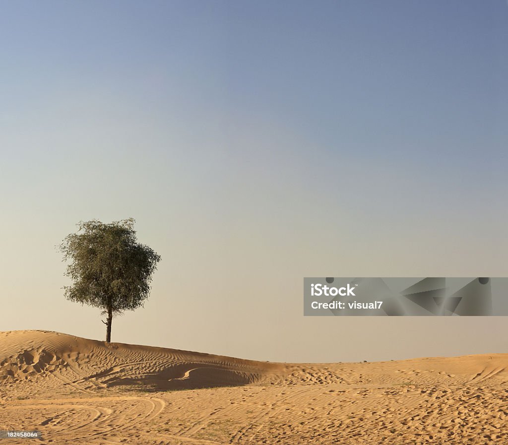 Árvore do deserto - Foto de stock de Árvore royalty-free