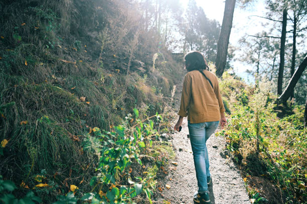 Free Stock Photo of Woman walking on a forest pathway during sunny day ...