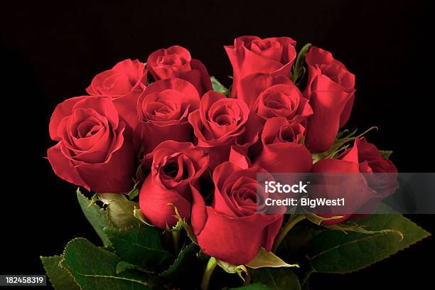 Foto de Rosas e mais fotos de stock de Doze Rosas - Doze Rosas, Dúzia, Fundo preto