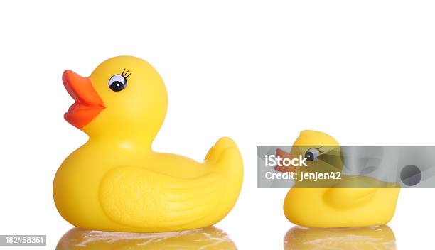 Duckies De Borracha - Fotografias de stock e mais imagens de Pato de Borracha - Pato de Borracha, Amarelo, Plástico