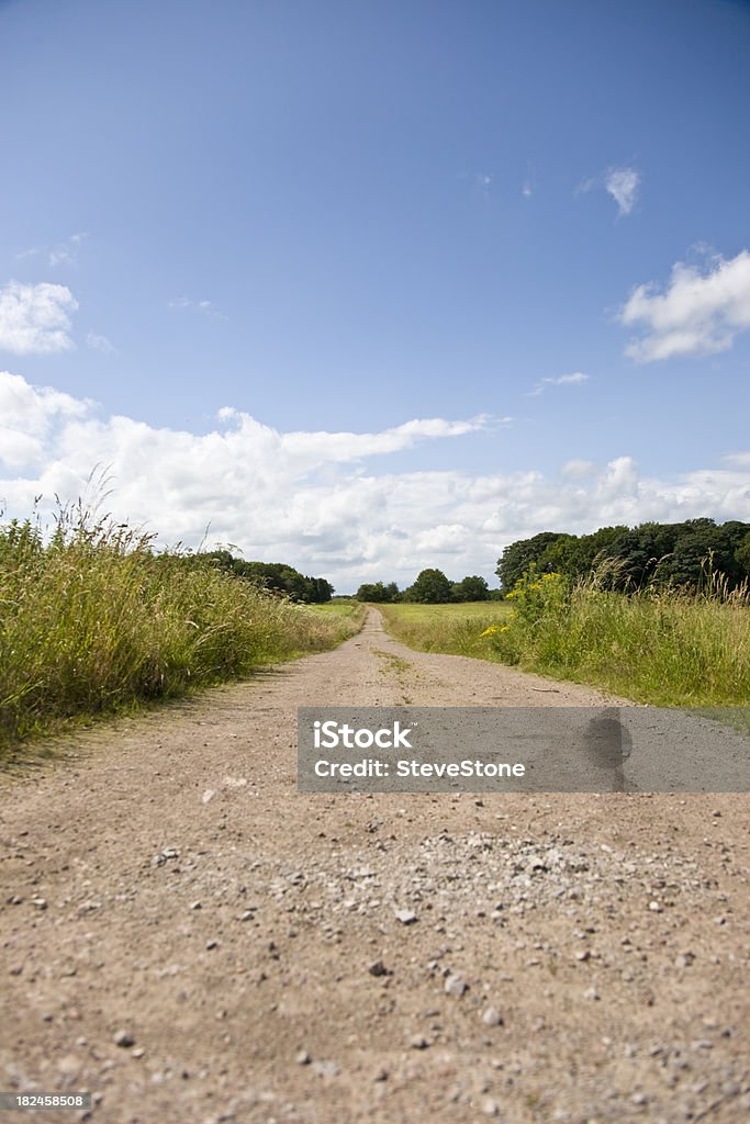 Rural Lane em inglês - Royalty-free Ao Ar Livre Foto de stock