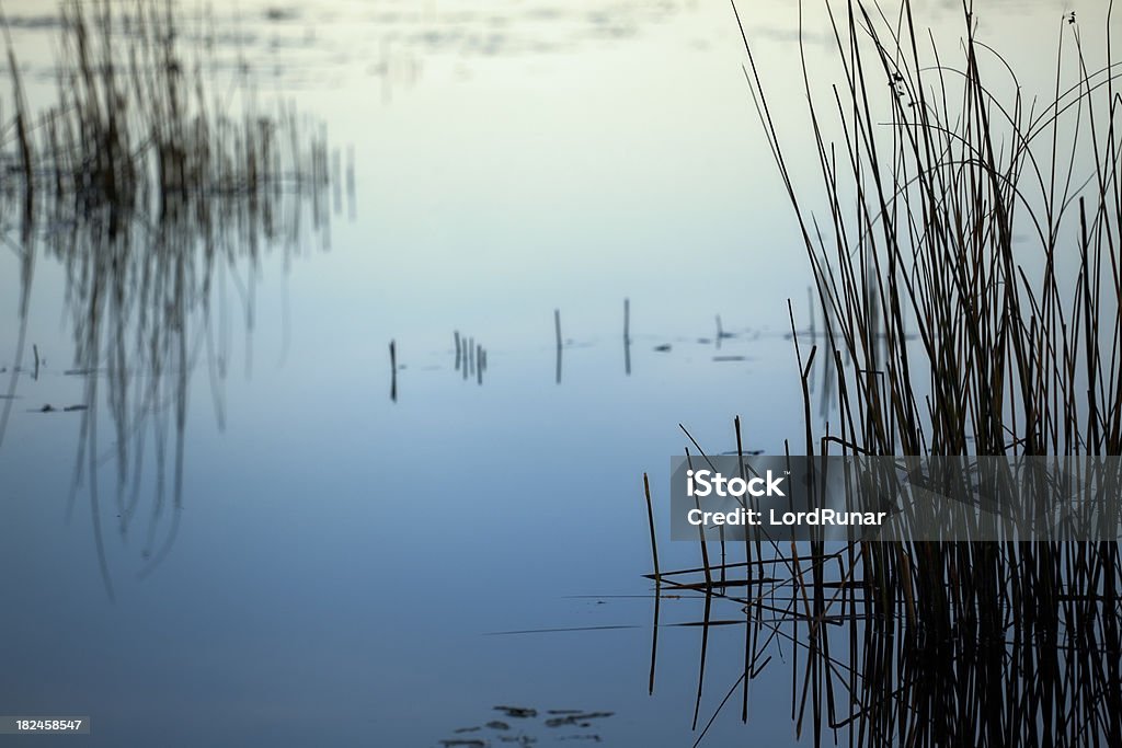 Eau calme marsh - Photo de Lac Tule Lake libre de droits