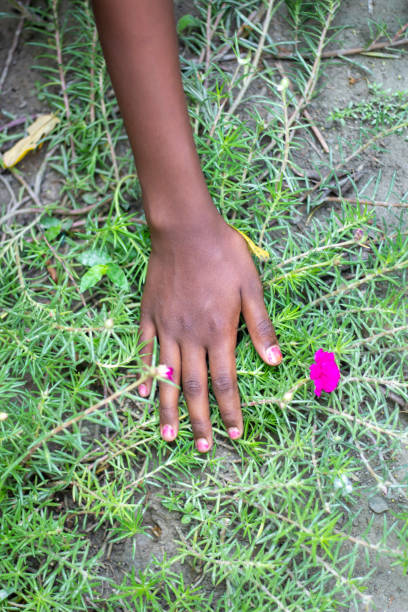 istock A man is holding his hand above vine flower tree and blurred background 1824590874